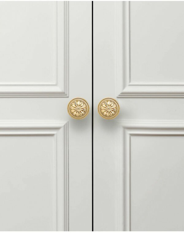 Antique Brass Door Knobs Cabinet Hardware - Image 6